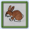 Hase Hase