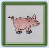 Schwein Schwein